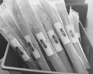 image of comegetbuzzed.com's frozen ice pops